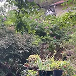 Villa L Oasis Avec Piscine
