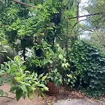 L Oasis Avec Piscine * Les Angles (Gard)