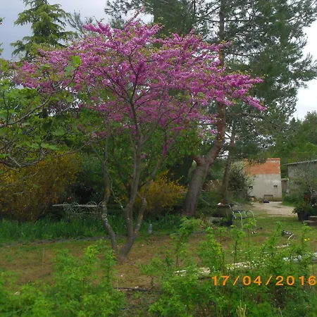 L Oasis Avec Piscine Villa *