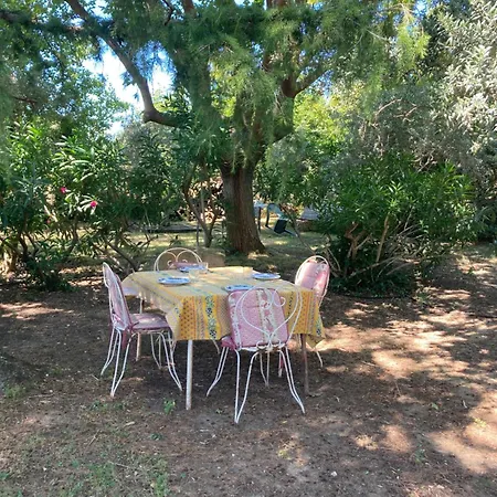 Villa L Oasis Avec Piscine