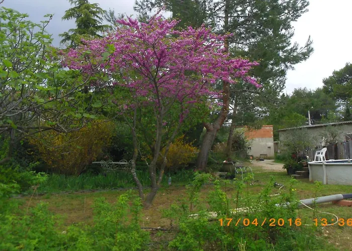 L Oasis Avec Piscine Вилла *